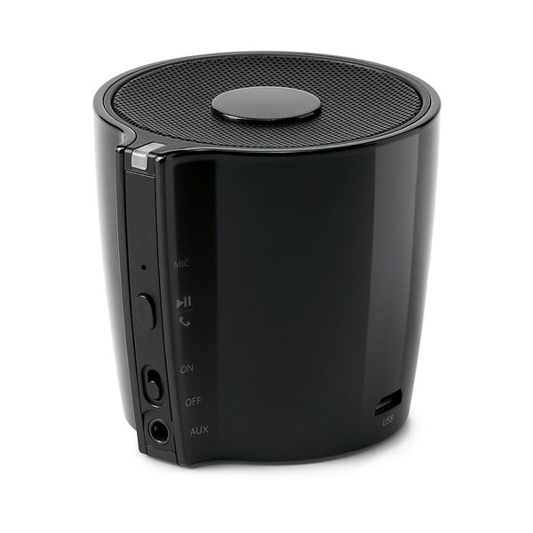 BLARE. Speaker